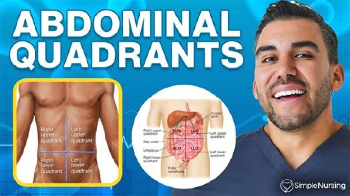 How many abdominal quadrants are there