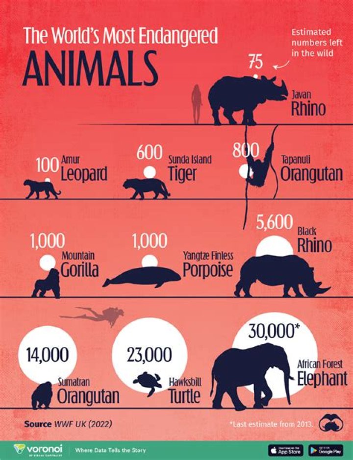 How many animals have been removed from the endangered species list