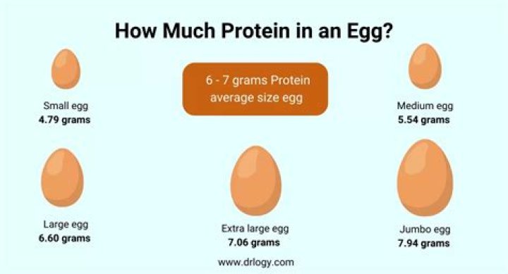 How many are in a large egg