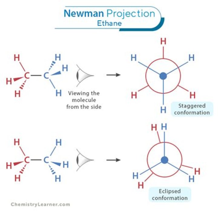 How many different types of Newman conformations are possible