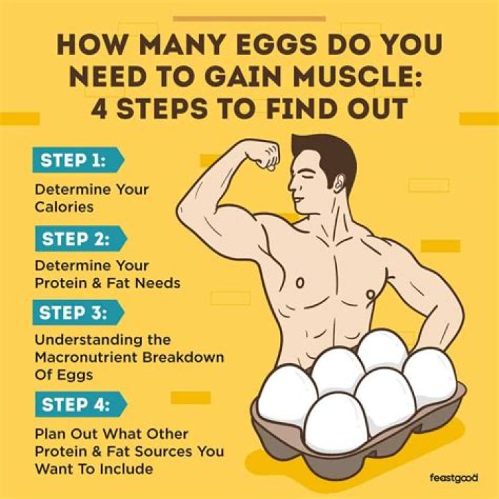 How many eggs should you eat to build muscle