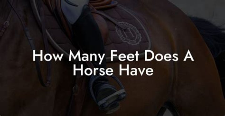 How many feet does a bundle of hip and ridge cover