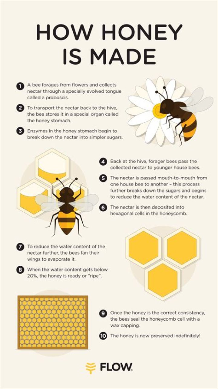 How many gallons of honey does a hive produce