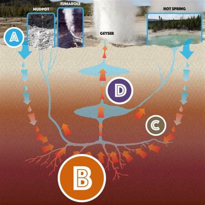 How many hydrothermal features are in Yellowstone