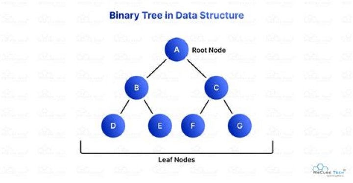 How many leaves are there in a full binary tree