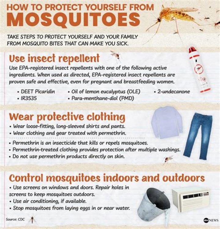 How many mosquitoes do swallows eat