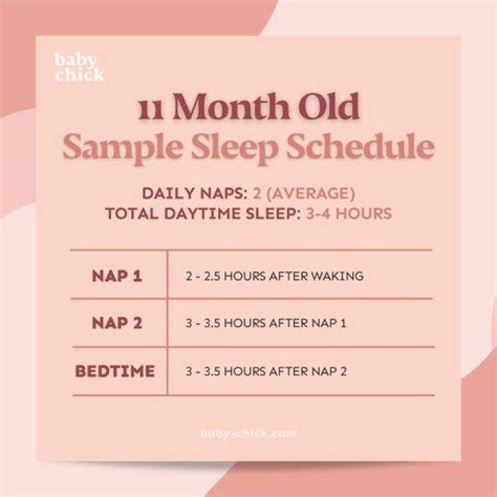 How many naps should a 11 month old take