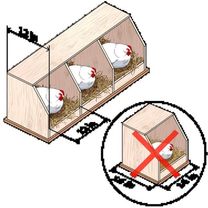 How many nesting boxes do I need for 2 chickens