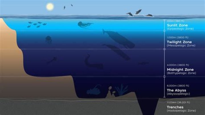 How many ocean pools are there in Sydney