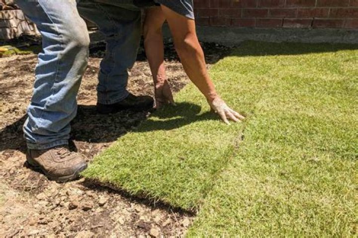 How many square feet are in a pallet of Zoysia sod