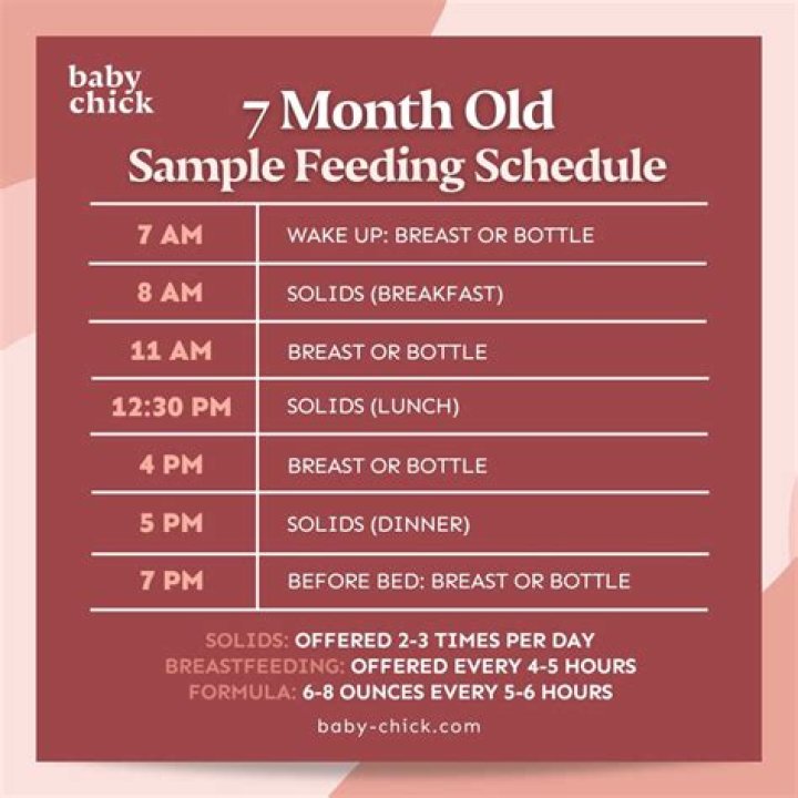 How many times a day should a 7-month-old eat baby food
