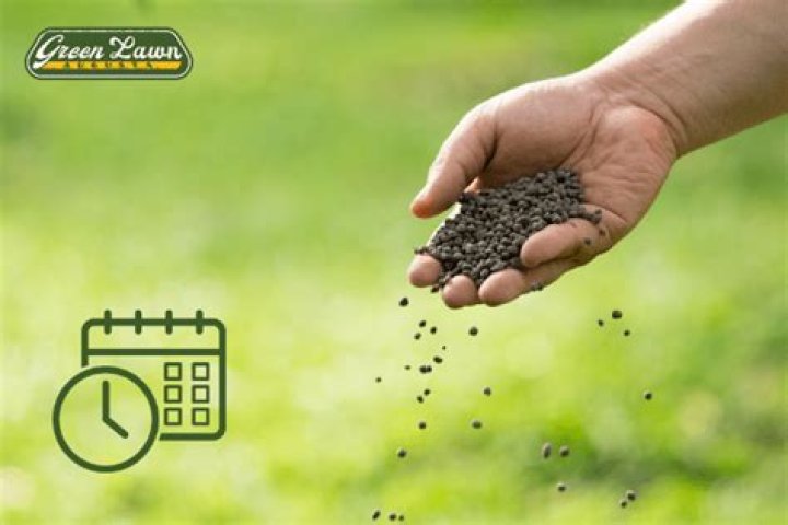 How many times a year should you fertilize