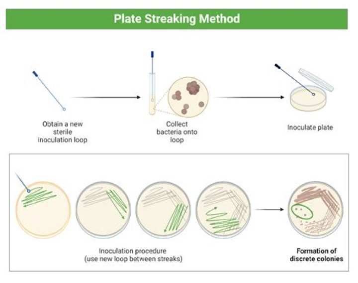 How many types of streaking methods are there in microbiology