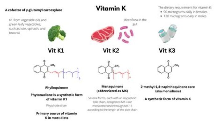 How many types of vitamin K are there