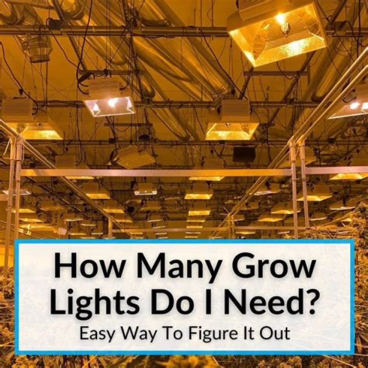 How many watts do you need for hydroponics