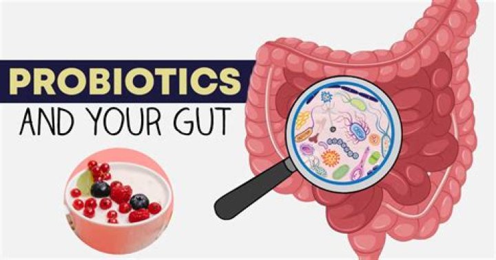 How much are align probiotics