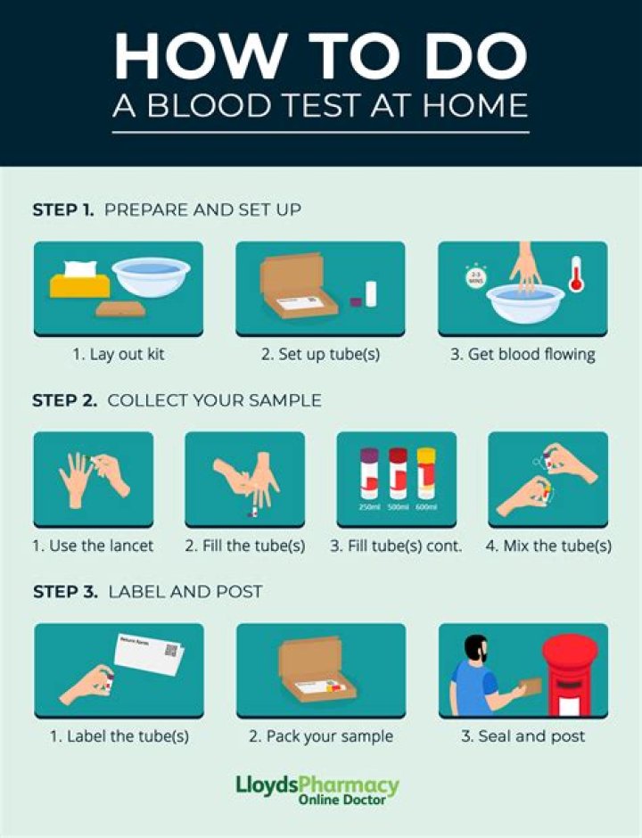 How much do blood tests for cats cost