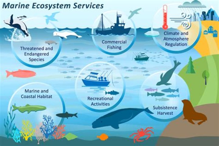 How much do marine ecologists make