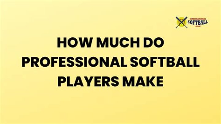How much do professional tag players make