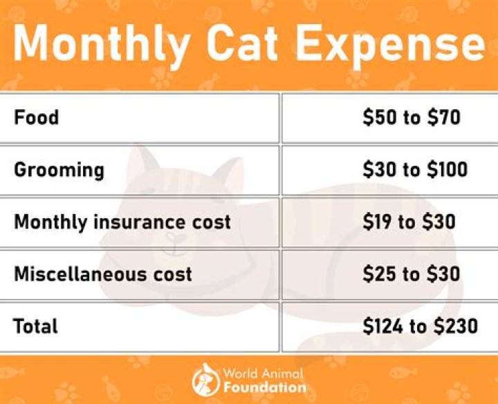 How much does an Animal Jam membership cost