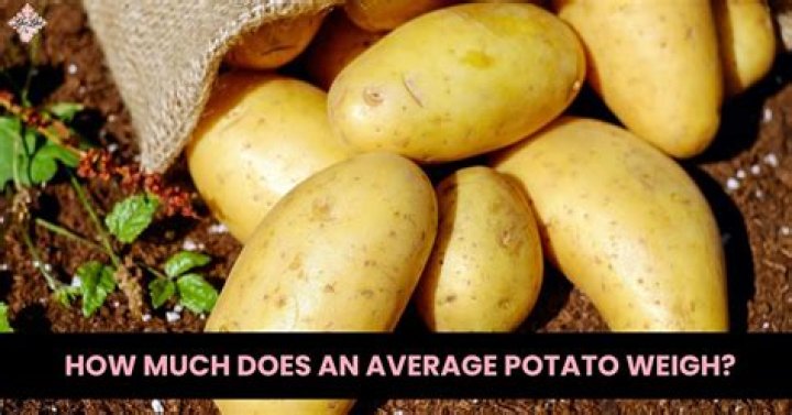 How much does an average person weigh in Newtons