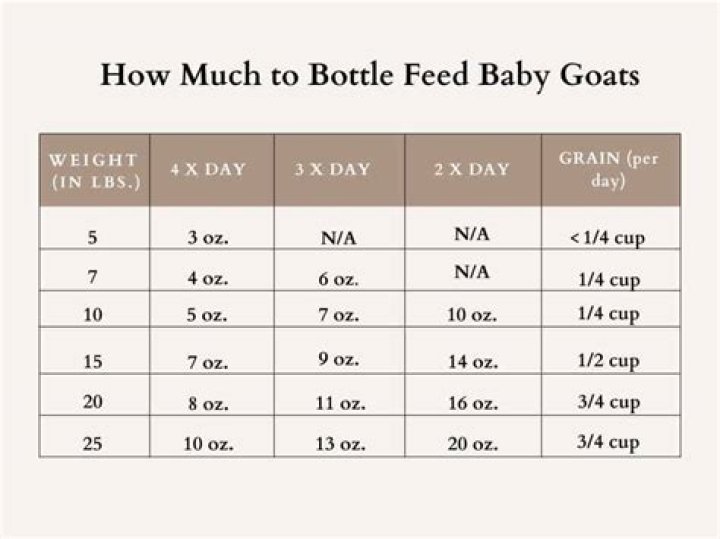 How much does it cost to feed one child