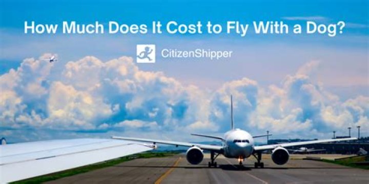 How much does it cost to fly a jet per hour