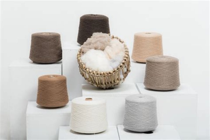 How much does raw cashmere sell for