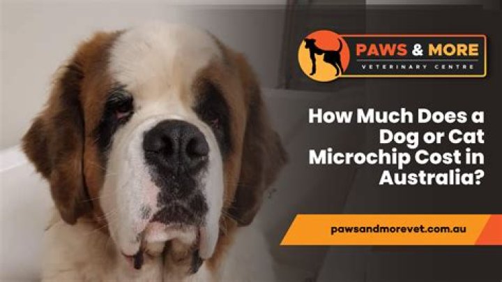 How much does showering a dog cost
