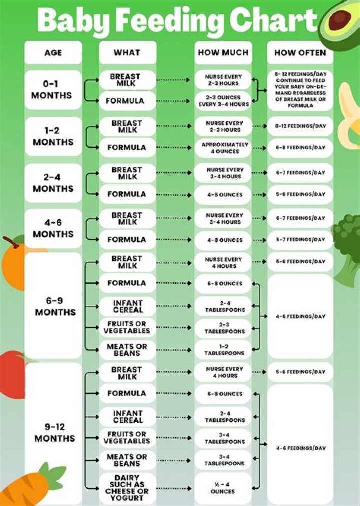 How much food do you need to survive for 6 months