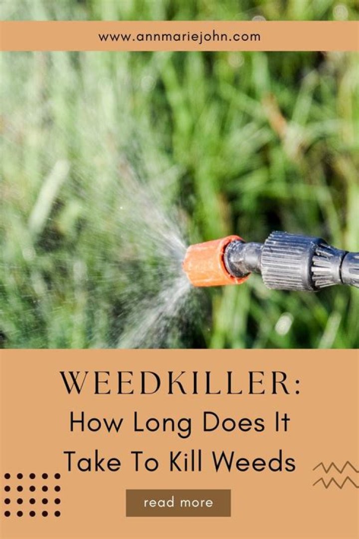How much heat does it take to kill weeds