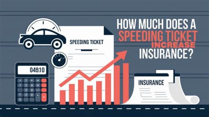 How much is a speeding ticket in Idaho