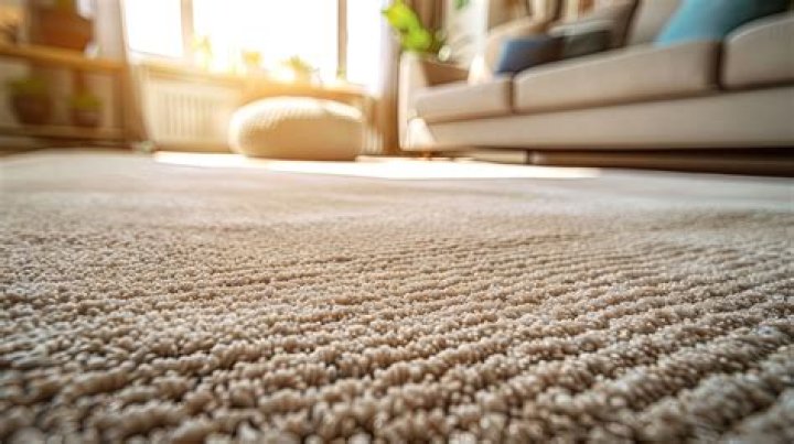 How much is nylon Berber carpet
