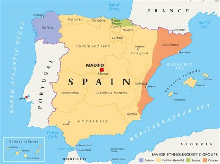 How much of Spain speaks English