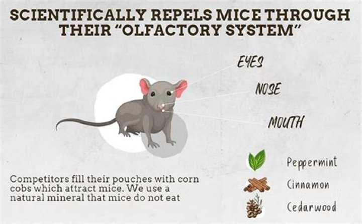 How much poison will kill a mouse