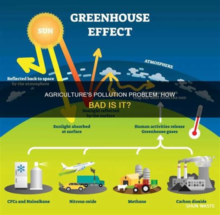 How much pollution does agriculture cause