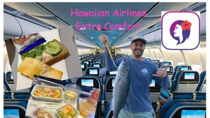 How much should I bid to upgrade on Hawaiian Airlines