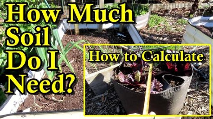 How much soil do potted plants need