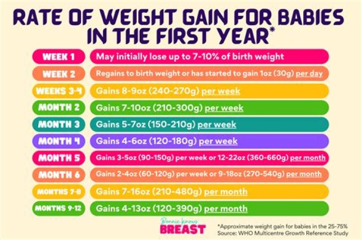 How much weight should a newborn lose in the first 24 hours