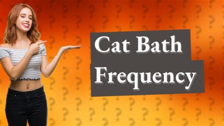 How often should you bathe an indoor cat