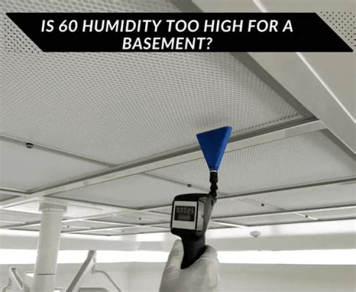 Is 60 humidity too high for a basement