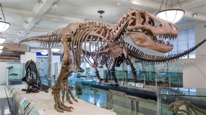 Is a Trex deck worth it