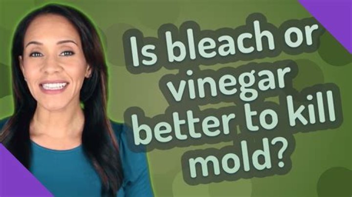 Is bleach or vinegar better to kill mold