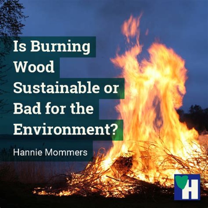 Is burning wood sustainable