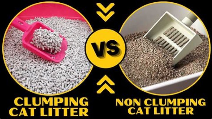 Is clumping cat litter bad for the environment