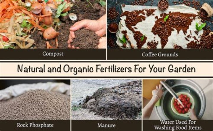 Is compost and fertilizer the same thing