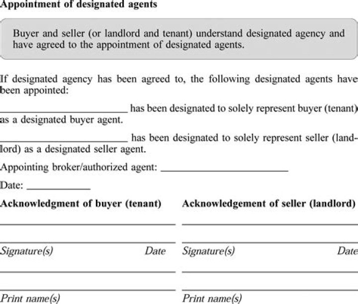 Is designated agency offered in Georgia