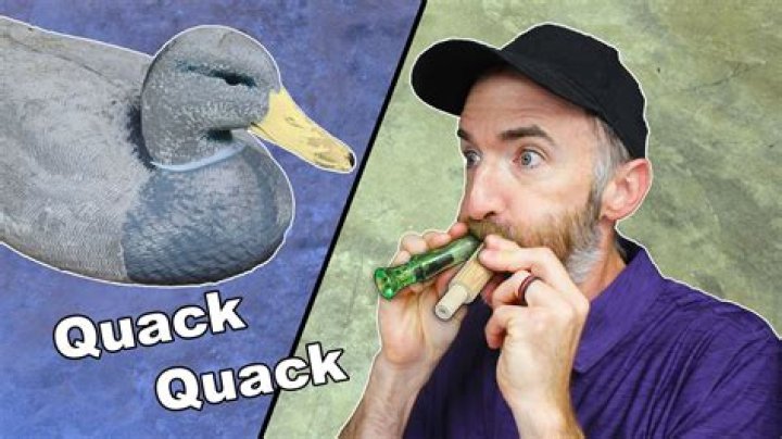 Is Duck Dynasty still making duck calls