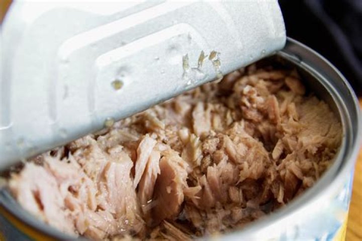 Is eating canned tuna bad for you