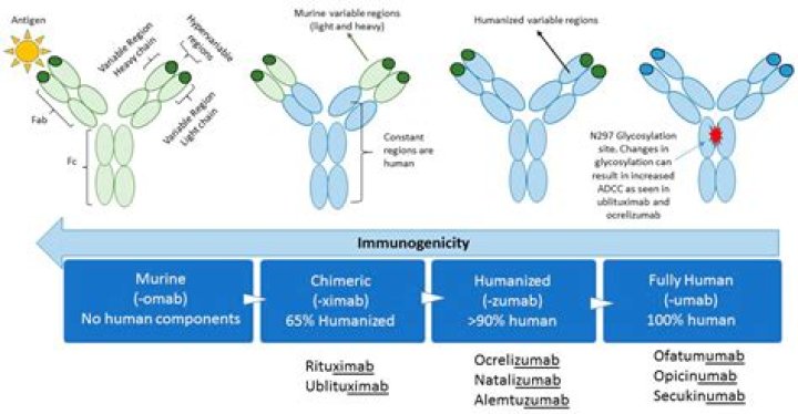 Is Emgality a monoclonal antibody